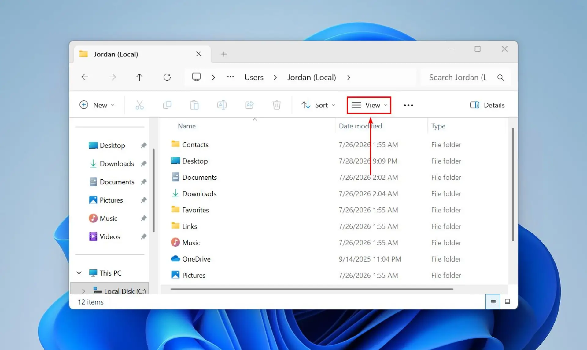File Explorer View menu.