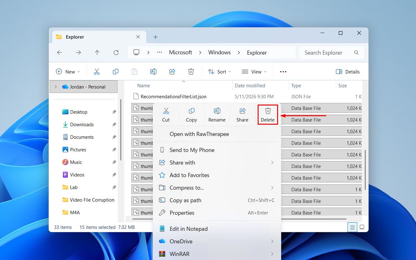 Deleting the thumbnail files.