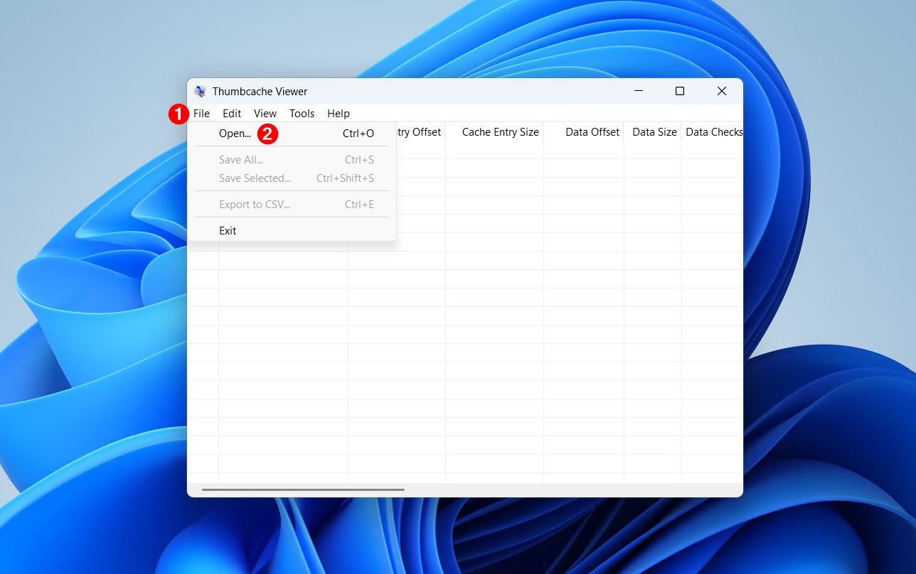 Opening Thumbnail file.