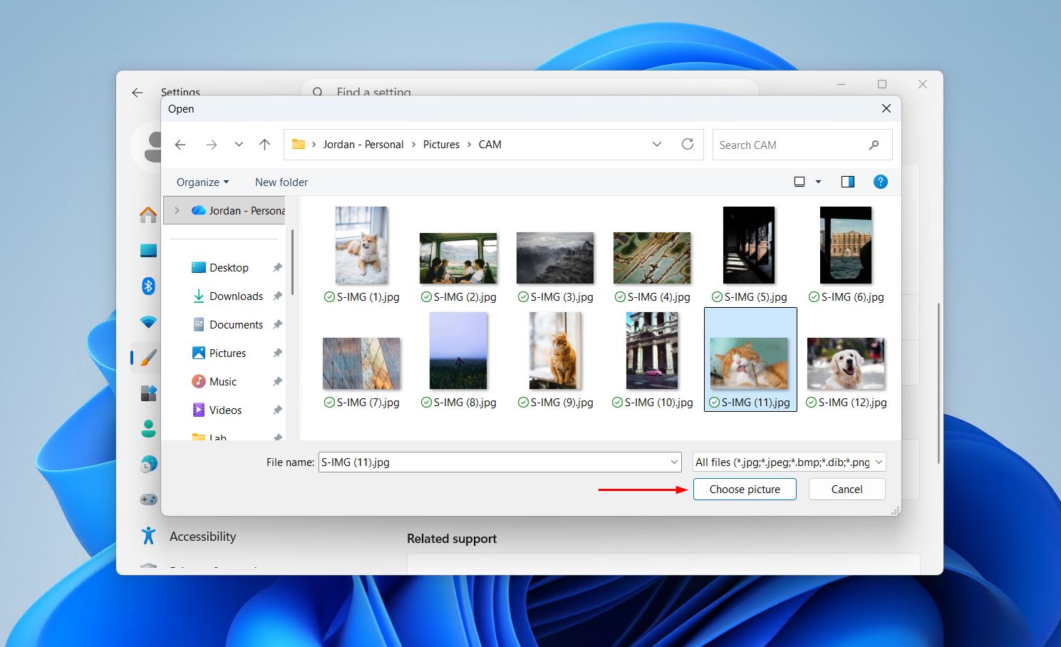Choose picture file browser dialog