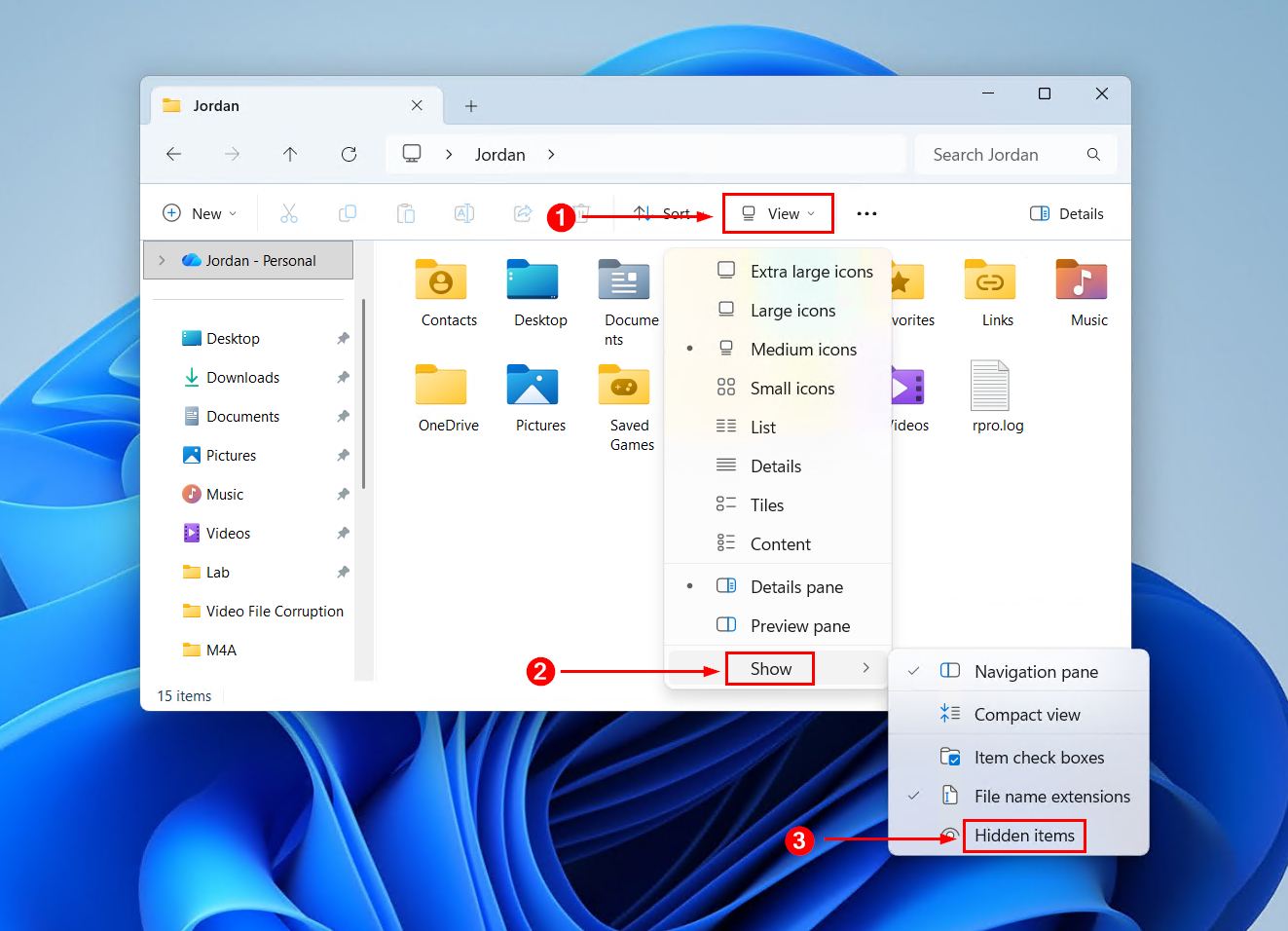Showing hidden items.