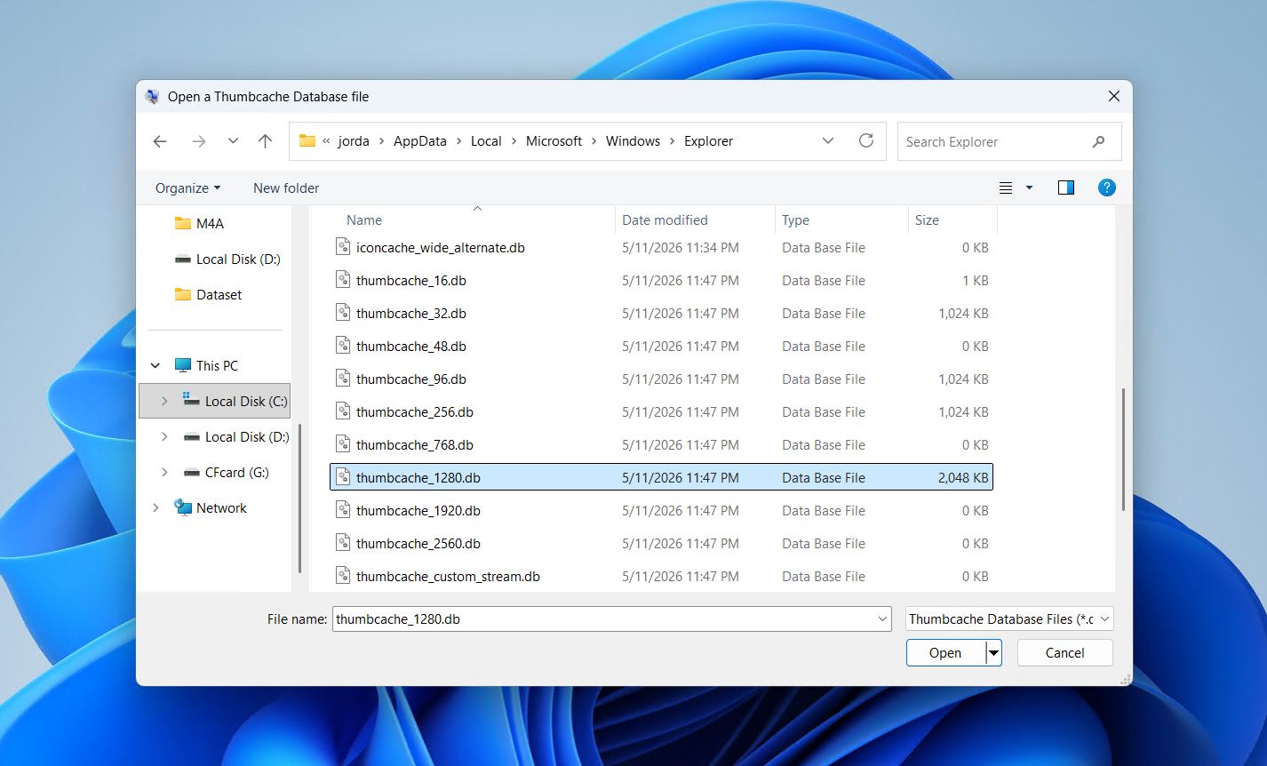 A thumbnail cache file.