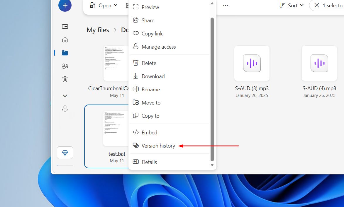 Checking the file version history.